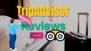 TripAdvisor Reviews Are Important