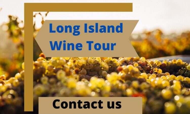 Long Island Wine Tour – Choose An Appropriate Family Tour