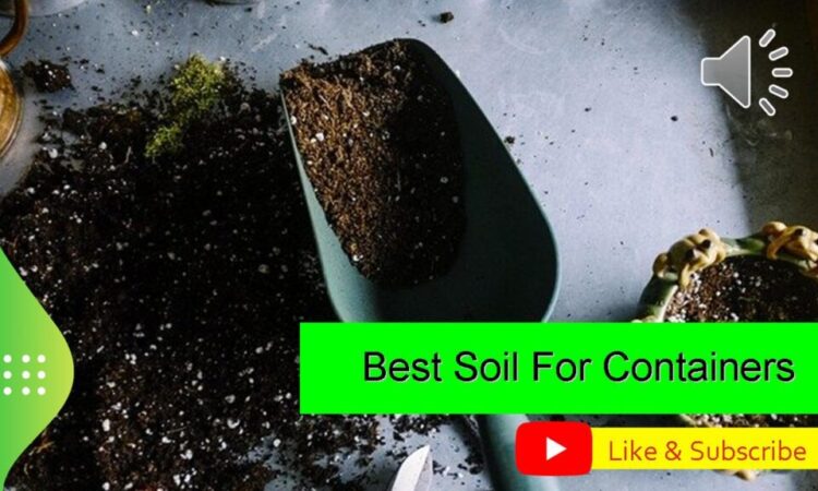Best Soil For Containers – Gardening Made Simple