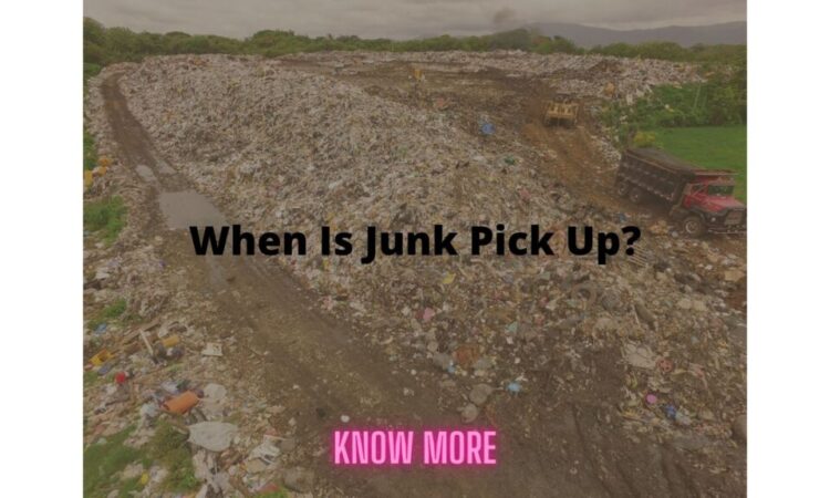 All You Need To Know Before Hiring a Junk Removal