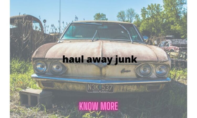 Who in Brandon, Florida Will Haul My Junk For Free?