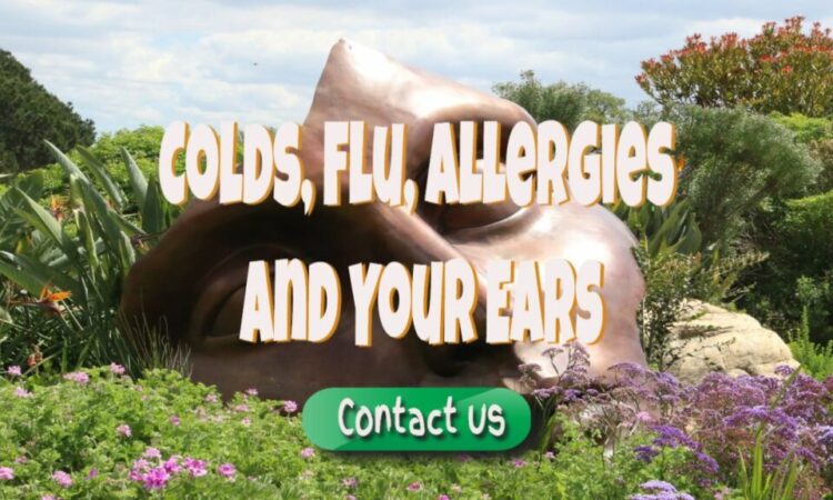 Colds, Flu, Allergies And Your Ears
