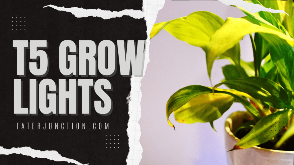 t5 grow lights