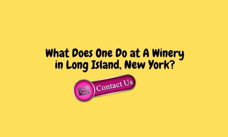What Does One Do at A Winery in Long Island, New York?