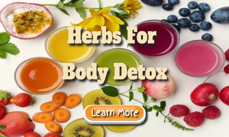 Herbs for Body Detox