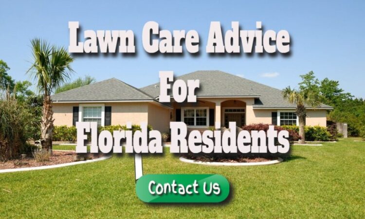 Lawn Care Advice for Florida Residents