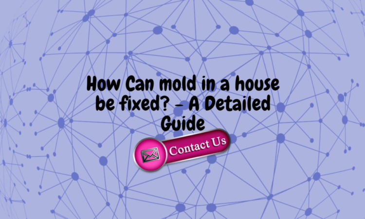 How Can Mould In A House Be Fixed? – A Detailed Guide