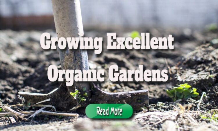 Growing Excellent Organic Gardens