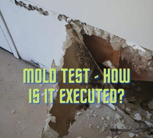 Mold Test – How is it Executed?