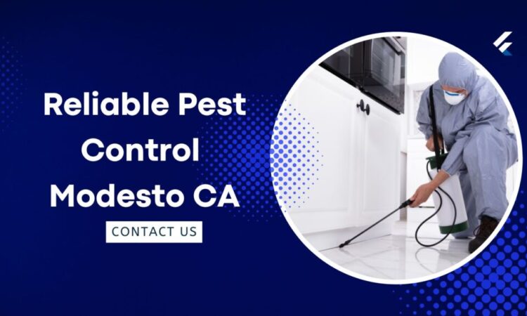 Family Friendly Pest Control Modesto CA Keeping Your Home Safe