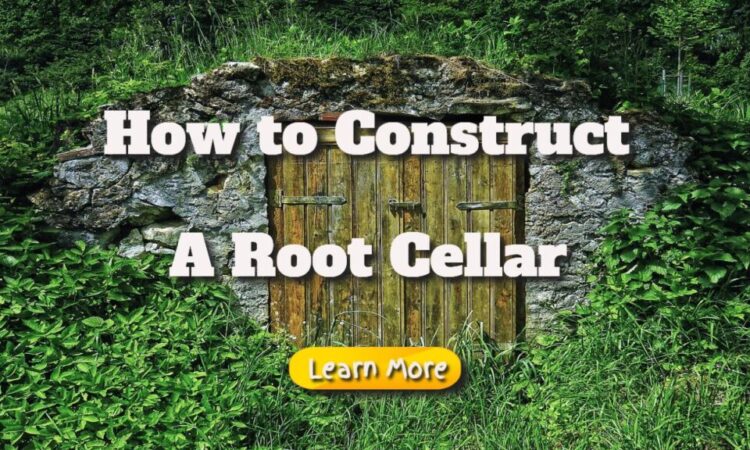 How to Construct a Root Cellar
