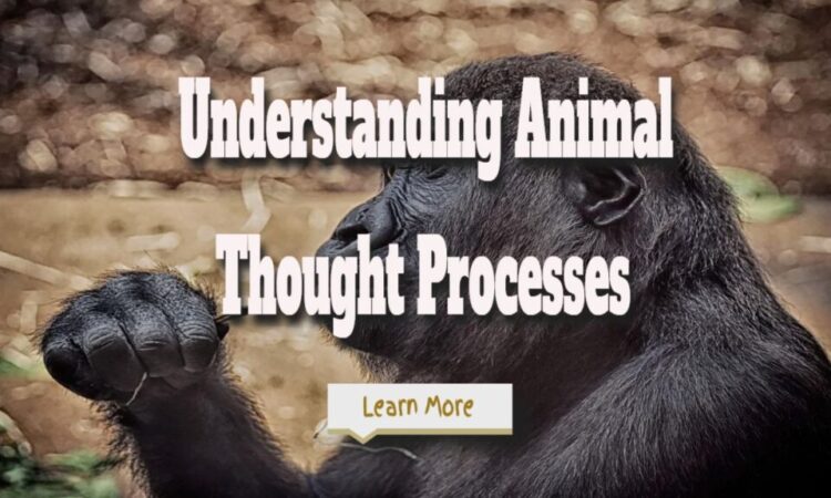 How Close Are We to Understanding Animal Thought Processes