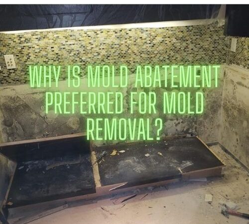 Why Is Mold Abatement Preferred For Removal of Mold?