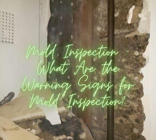 Mold Inspection – What Are the Warning Signs for Mold Inspection?