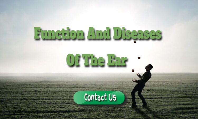 Facts – Ear Function And Diseases