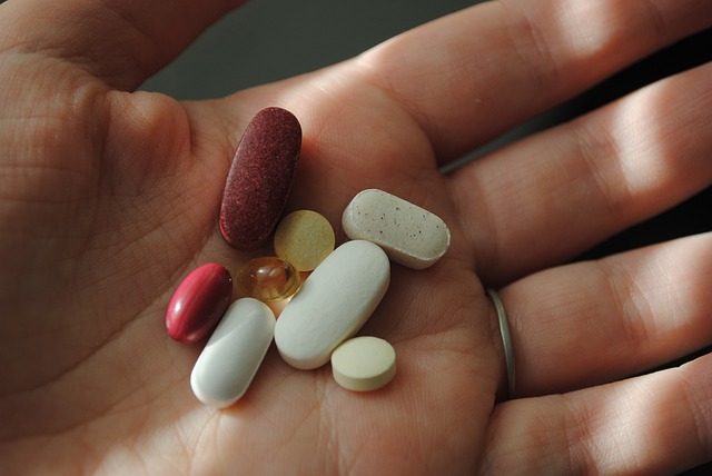 A Guide to Gut Health Supplements