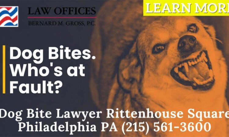 Dog Bite Attorney Rittenhouse Square Philadelphia PA