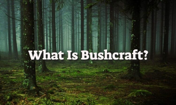 What Is Bushcraft? Skills for Survival and Self-Reliance