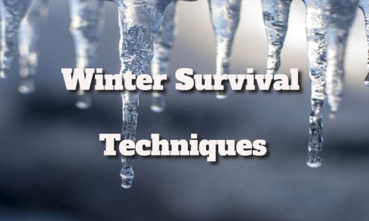 Winter Survival Techniques