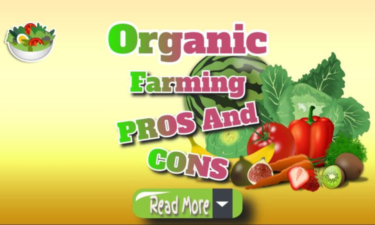 Organic Farming Pros and Cons Explained Clearly